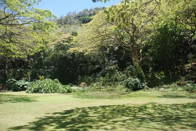 2007_05_30_HAWAII (82) (Large).JPG